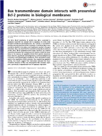 Bax Transmembrane Domain Interacts with Prosurvival Bcl-2 Proteins in Biological Membranes