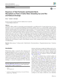 Responses of Tidal Freshwater and Brackish Marsh Macrophytes to Pulses of Saline Water Simulating Sea Level Rise and Reduced Discharge