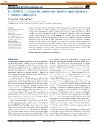 Small RNA Functions in Carbon Metabolism and Virulence of Enteric Pathogens