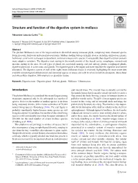 Structure and Function of the Digestive System in Molluscs