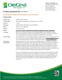 Tbc1d4 Mouse Shrna Lentiviral Particle (Locus ID 210789) Product Data