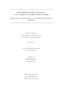 Biostratigraphy and Paleoenvironmental Reconstructions