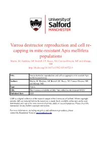 Varroa Destructor Reproduction and Cell Re-Capping in Mite-Resistant