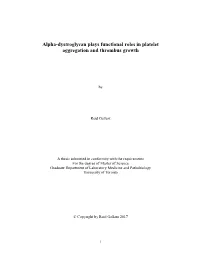 Alpha-Dystroglycan Plays Functional Roles in Platelet Aggregation and Thrombus Growth