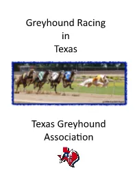 Basics of Greyhound Racing.Pub