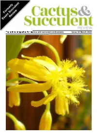 Download from the Website