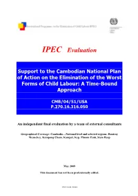 Final Evaluation by a Team of External Consultants