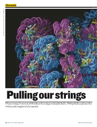 There Is Much More to DNA Than That Elegant Double Helix. Philip Ball Explores the Twists and Tangles of Chromatin