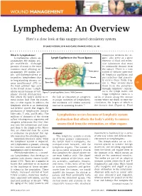 Lymphedema: an Overview Here’S a Close Look at This Unappreciated Circulatory System