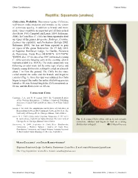 Reptilia: Squamata (Snakes)