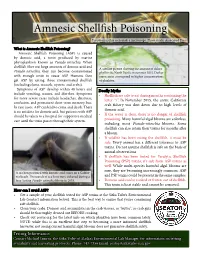 Amnesic Shellfish Poisoning Pseudo-Nitzschia Seen Unde a Microscope