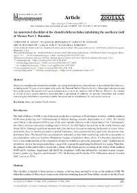 An Annotated Checklist of the Chondrichthyan Fishes Inhabiting the Northern Gulf of Mexico Part 1: Batoidea