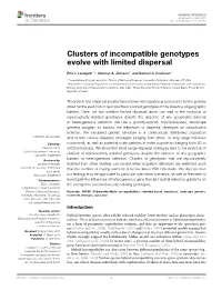 Clusters of Incompatible Genotypes Evolve with Limited Dispersal