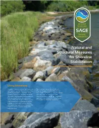 Natural and Structural Measures for Shoreline Stabilization