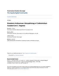 Histopathology of Colletotrichum Acutatum and C. Fragariae
