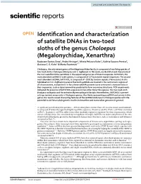 Identification and Characterization of Satellite Dnas in Two-Toed Sloths Of