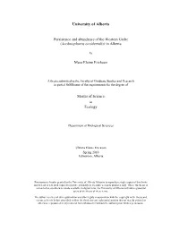 Persistence and Abundance of the Western Grebe (Aechmophorus Occidentalis) in Alberta