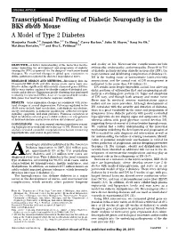 A Model of Type 2 Diabetes