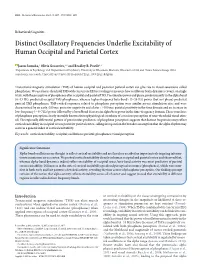 Distinct Oscillatory Frequencies Underlie Excitability of Human Occipital and Parietal Cortex