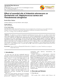 Effect of Essential Oils of Artemisia Arborescens on Escherichia Coli, Staphylococcus Aureus and Pseudomonas Aeruginosa