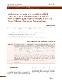 Easily Altered Minerals and Reequilibrated Fluid Inclusions Provide Extensive Records of Fluid and Thermal History: Gypsum Pseud