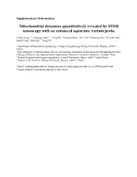 Mitochondrial Dynamics Quantitatively Revealed by STED Nanoscopy with an Enhanced Squaraine Variant Probe