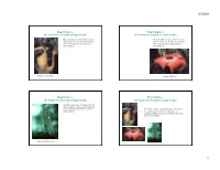 Plant Oddities - ! Plant Oddities - ! the Carnivores, Parasites & Saprotrophs ! the Carnivores, Parasites & Saprotrophs !