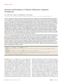 Structure and Evolution of Chlorate Reduction Composite Transposons