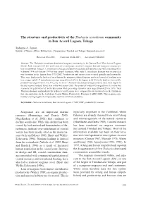 The Structure and Productivity of the Thalassia Testudinum Community in Bon Accord Lagoon, Tobago