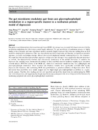 The Gut Microbiome Modulates Gutâ€“Brain Axis Glycerophospholipid
