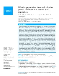 Effective Population Sizes and Adaptive Genetic Variation in a Captive Bird Population