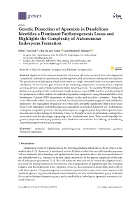 Genetic Dissection of Apomixis in Dandelions Identifies a Dominant