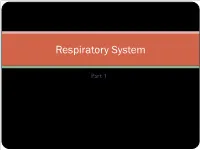 Introduction to the Respiratory System