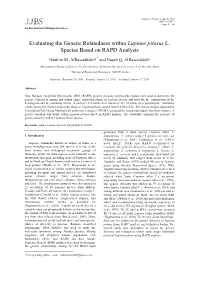 Evaluating the Genetic Relatedness Within Lupinus Pilosus L. Species Based on RAPD Analysis
