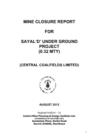 Mine Closure Report