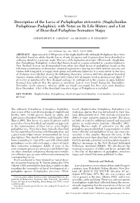 Staphylinidae: Pselaphinae: Pselaphini) with Notes on Its Life History and a List of Described Pselaphine Immature Stages