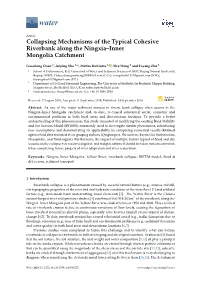 Collapsing Mechanisms of the Typical Cohesive Riverbank Along the Ningxia–Inner Mongolia Catchment