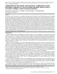 Comparison of Bacterial and Archaeal Communities from Different Habitats of the Hypogenic Molnár János Cave of the Buda Thermal Karst System (Hungary)