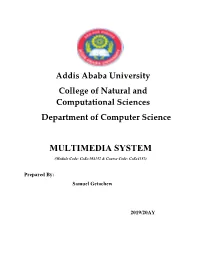 Multimedia System