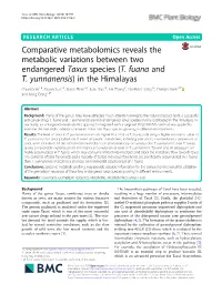 (T. Fuana and T. Yunnanensis) In
