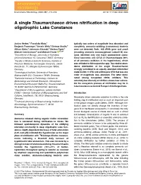 A Single Thaumarchaeon Drives Nitrification in Deep Oligotrophic