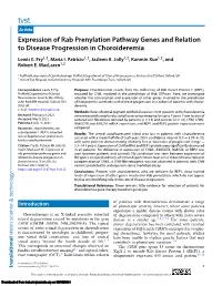 Expression of Rab Prenylation Pathway Genes and Relation to Disease Progression in Choroideremia