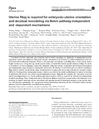 Uterine Rbpj Is Required for Embryonic-Uterine Orientation and Decidual Remodeling Via Notch Pathway-Independent and -Dependent Mechanisms