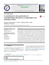 Based on Morphological and Molecular Criteria