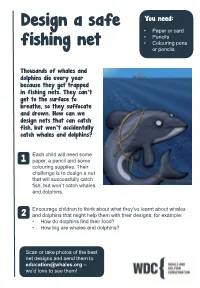 Design a Safe Fishing Net Notes for Teachers
