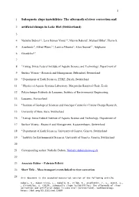 Subaquatic Slope Instabilities: the Aftermath of River Correction And