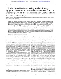 Efficient Neocentromere Formation Is Suppressed by Gene Conversion to Maintain Centromere Function at Native Physical Chromosomal Loci in Candida Albicans