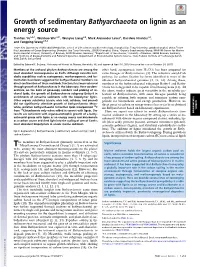 Growth of Sedimentary Bathyarchaeota on Lignin As an Energy Source