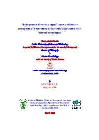 Phylogenetic Diversity, Significance and Future Prospects of Heterotrophic Bacteria Associated with Marine Microalgae