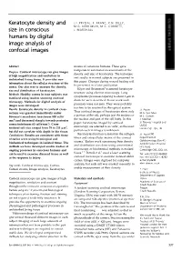 Keratocyte Density and Size in Conscious Humans by Digital Image